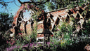 Fantastical Gardens