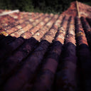 Reclaiming The Rooftop