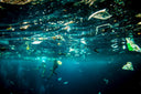 5 Artists Who Turned Marine Plastic Into a Movement