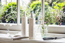 LONDON EVENING STANDARD – SPRING GREENING