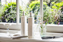 TINCTURE launches refillable glass bottles