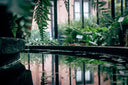 Gardens for Contemplation