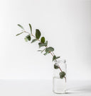Ideal Homes names TINCTURE Bathroom as genius problem solver!