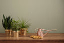 Garden Therapy: how mindful gardening can help you keep calm