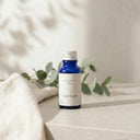 All Purpose Concentrated Refill